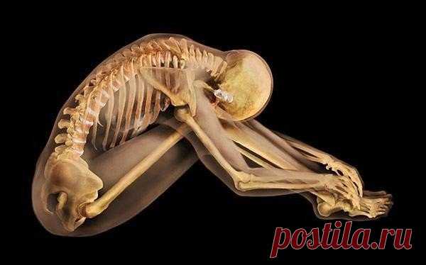 16 способов обмануть свое тело (сохраняем себе)

1. Если у вас сильно першит горло
Помассируйте мочку вашего уха. Это активирует ушные рецепторы и рефлекторно вызовет спазм в горле, который облегчит першение.

2. Если вам трудно расслышать бормотание собеседника
Поверните к нему правое ухо, так как оно лучше слышит быструю невнятную речь. А тихую мелодию поможет лучше расслышать левое ухо, так как оно более чутко улавливает музыкальные переливы.

3. Если у вас затекла рука...