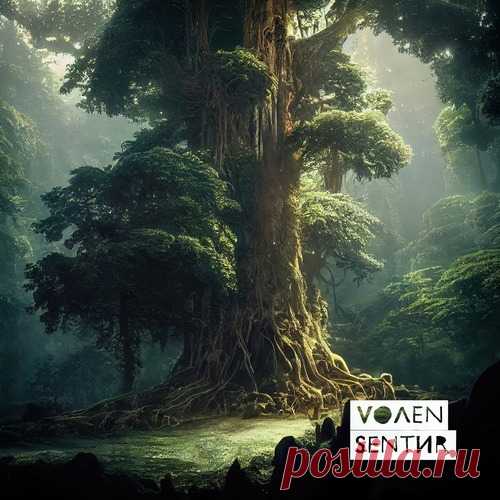 Volen Sentir - Moment Of Peace free download mp3 music 320kbps