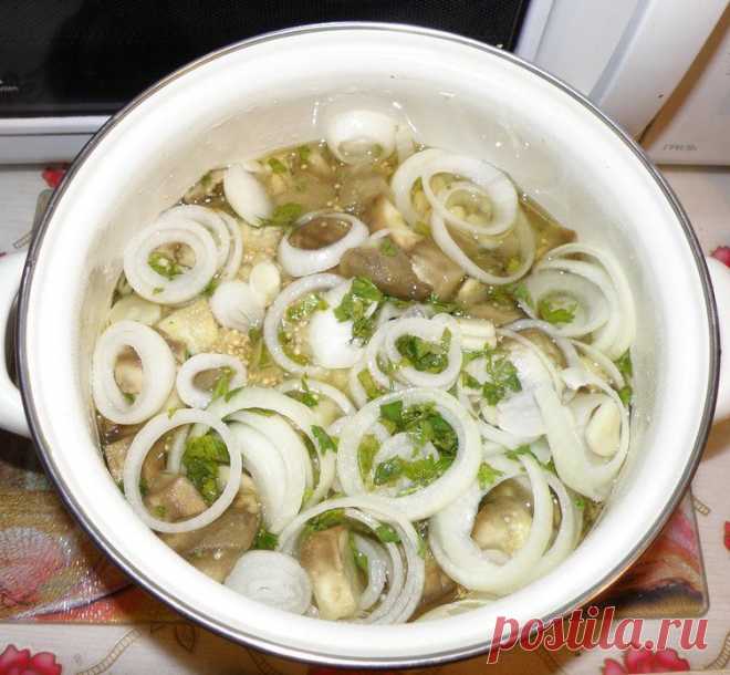 Квашенные баклажаны без хлопот-2рецепта - perchinka63.ru