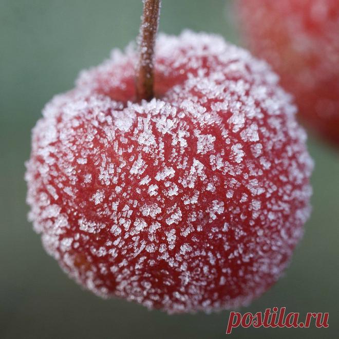 Pinterest: Discover and save creative ideas