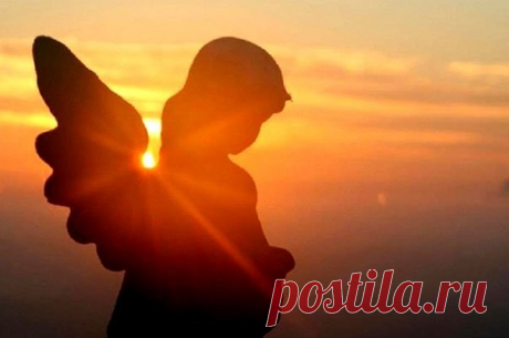 (17) Одноклассники
