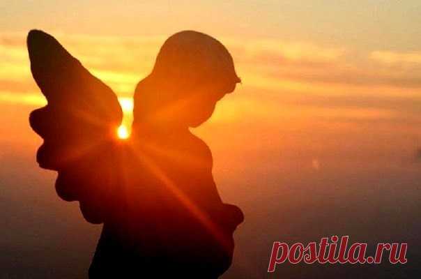 (17) Одноклассники