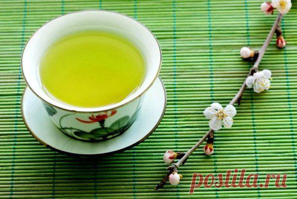 Все самое интересное о зеленом чае