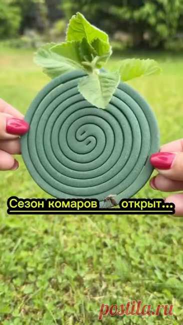 Если к вам ещё не прилетели 🦟 то готовьтесь🙈👌 средство из спиралей, поможет не только от комаров