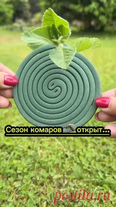 Если к вам ещё не прилетели 🦟 то готовьтесь🙈👌 средство из спиралей, поможет не только от комаров