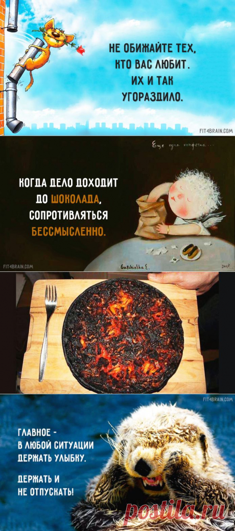 Советы оптимиста для каждого дня — Народные приметы