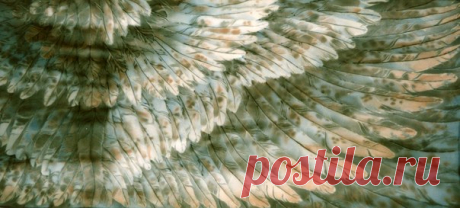 Фотографии //~~*БАТИК СТИЛЬ - такой разный батик*~~\\ | 231 альбом