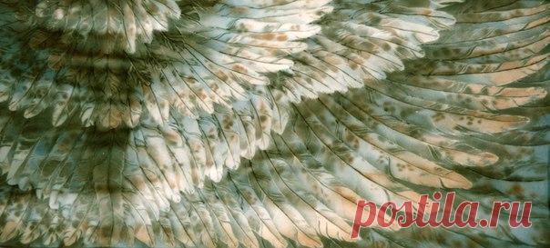 Фотографии //~~*БАТИК СТИЛЬ - такой разный батик*~~\\ | 231 альбом