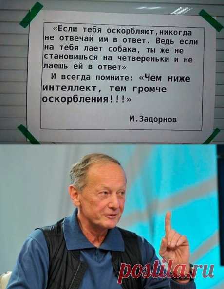 «Совсем обезумела на старости лет». Пугачева объявила войну российскому шоу-бизнесу | NEWS.ru | Дзен
