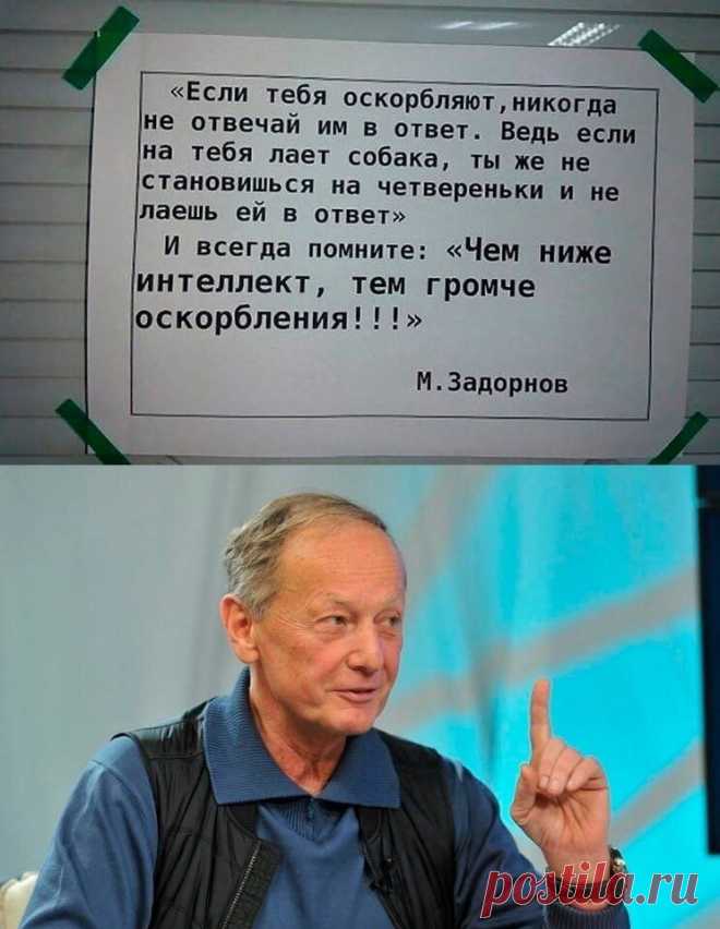 «Совсем обезумела на старости лет». Пугачева объявила войну российскому шоу-бизнесу | NEWS.ru | Дзен