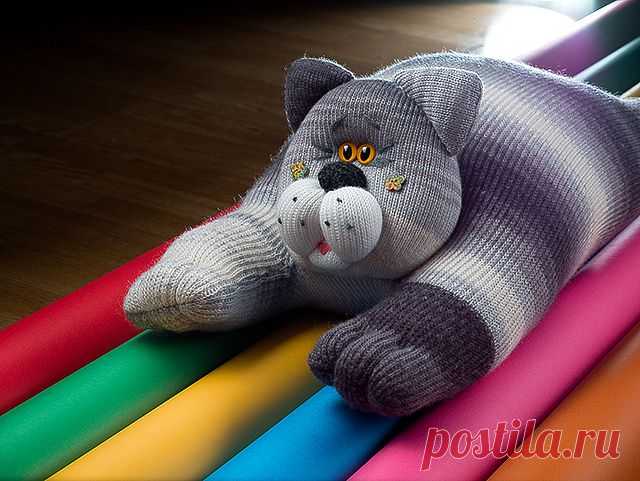 Обними кота!.