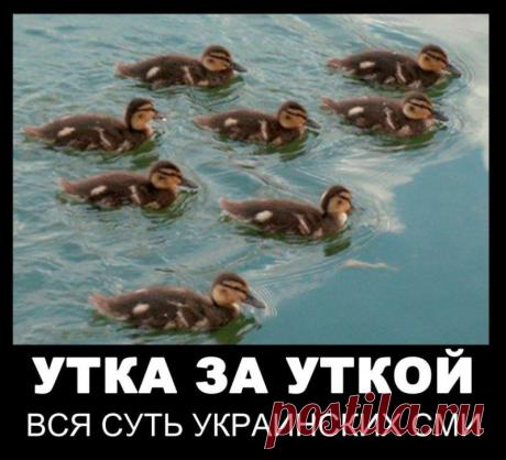 ФРАНЦИЯ НАНОСИТ ТРОЙНОЙ УДАР ПО ДОЛЛАРУ | Ваше мнение