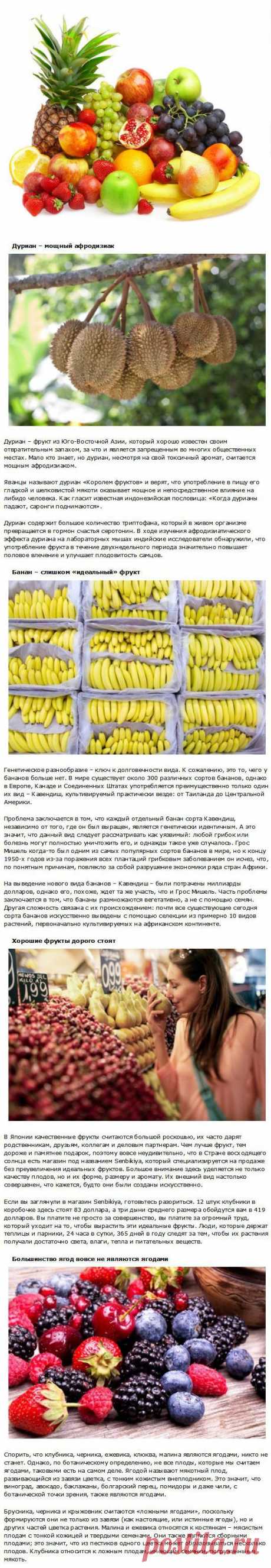 Фрукты о фактах... факты о фруктах! / Научный хит