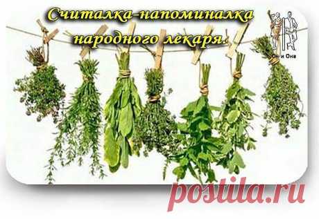 Считалка-напоминалка народного лекаря..
