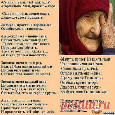 (3) Одноклассники