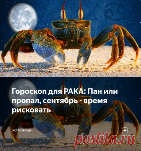 Гороскоп для РАКА: Пан или пропал, сентябрь - время рисковать | АстроЗвезда | Яндекс Дзен