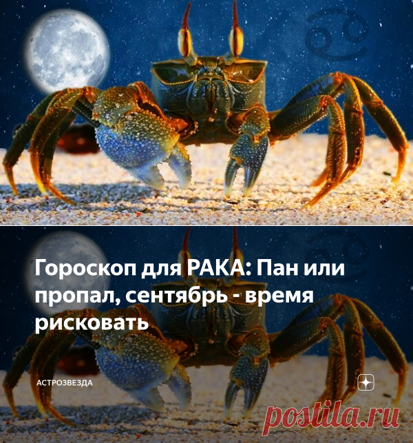 Гороскоп для РАКА: Пан или пропал, сентябрь - время рисковать | АстроЗвезда | Яндекс Дзен