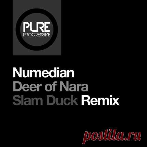 Download Numedian - Deer of Nara - Slam Duck Remix Label Pure Progressive Styles Trance Date 2025-03-14 Catalog # PTP231 Length 7:03 Tracks 1