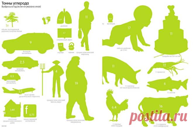 Выбросы углерода, инфографика. Иллюстрация из книги «Инфографика. Самые интересные данные в графическом представлении»