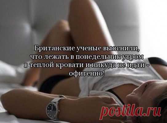 Обхохочешься: уморительная подборка смешных картинок - Новости журнала - Телеграф - Страница 3