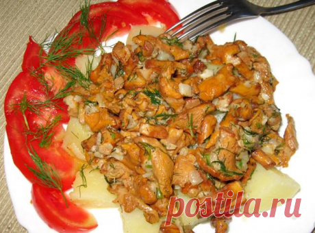 Очень вкусный рецепт жареных лисичек &quot;Прожорливые лисенята&quot;. | DiDinfo | Яндекс Дзен