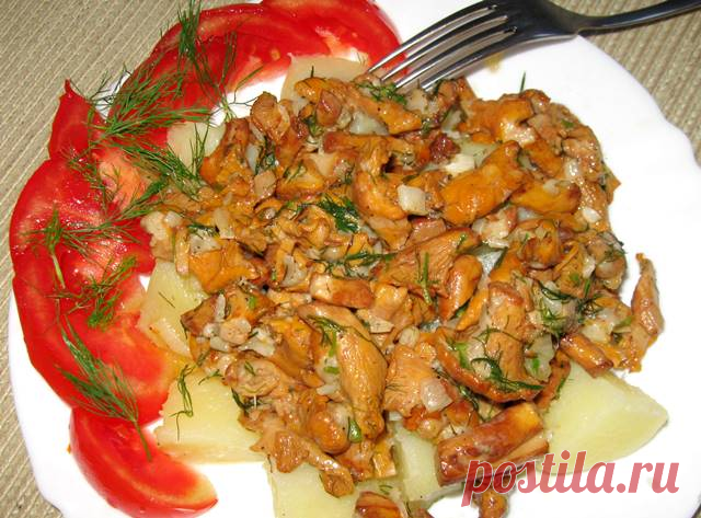 Очень вкусный рецепт жареных лисичек "Прожорливые лисенята". | DiDinfo | Яндекс Дзен