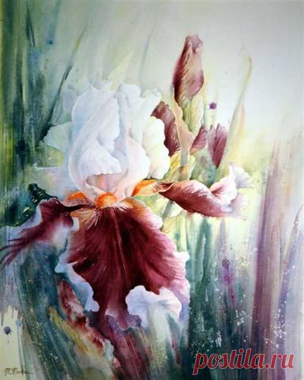 fullsize.jpg (600×749)