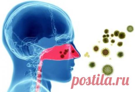 #Правила по #профилактике заражения #КоронавируснойИнфекцией