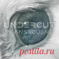 Undercut - Plansequenz (2025) 320kbps / FLAC