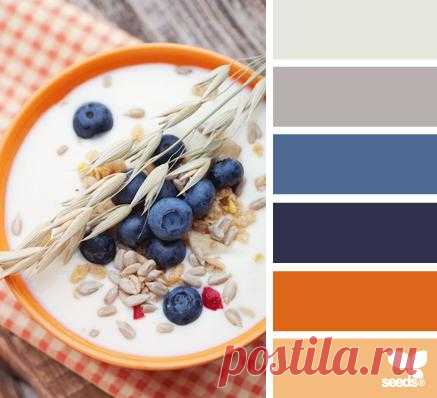 Design Seeds® | find your palette