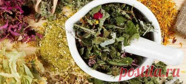 Запись Валентины Песковой Мочегонные травы – список самых эффективных растений от отековЕще много лет назад хорошо знали знахари, как применять мочегонные травы, у каждой из них есть свои особенности. Отвар, помогающий при отеках ног, не даст результата при сердечных отеках, эти нюансы тоже нужно учитывать. И сегодня многие врачи прописывают пациентам травяные, а не синтетические диуретики, которые обладают более мягким действием.Какие растения являются моч...