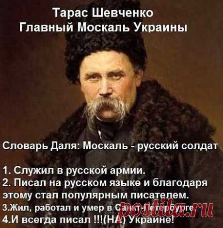 сатира | Фотографии 1-й Украинский ИНТЕР-ФРОНТ | 12973 фото | Группы Мой Мир
