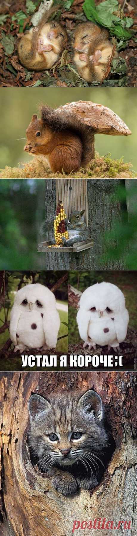Малыши)))
