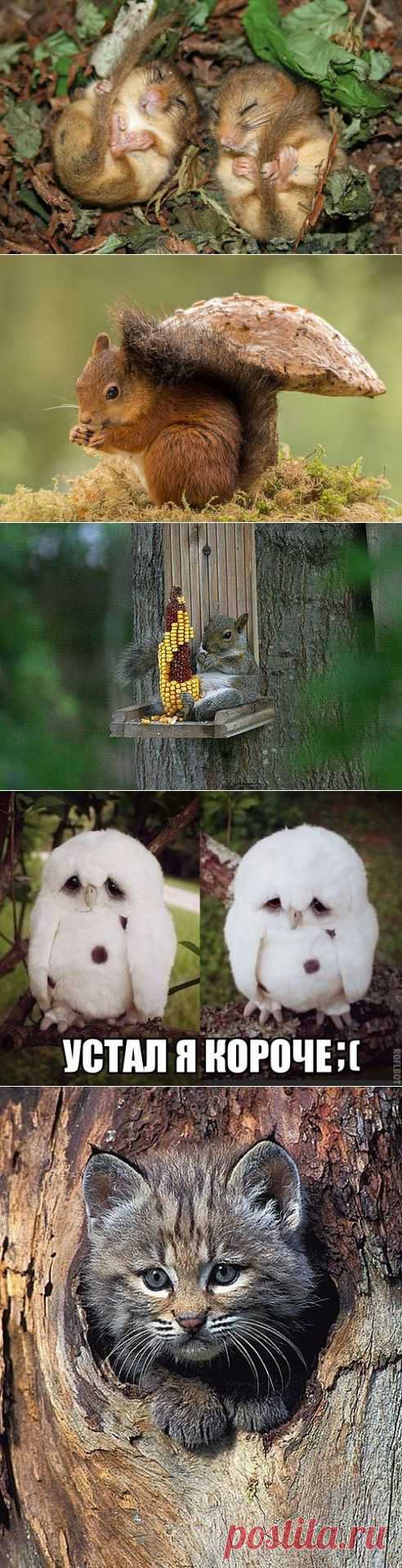 Малыши)))