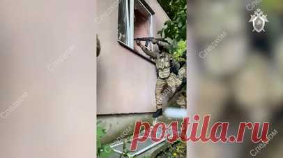 Кадры задержания подозреваемого в убийстве Станислава Ржицкого. В Краснодаре задержан подозреваемый в убийстве капитана второго ранга Станислава Ржицкого. Это Сергей Денисенко 1959 года рождения, у него обнаружен пистолет с глушителем. Ржицкий был убит 10 июля. В замначальника городского отдела по мобилизационной работе выстрелили четыре раза во время пробежки. Читать далее