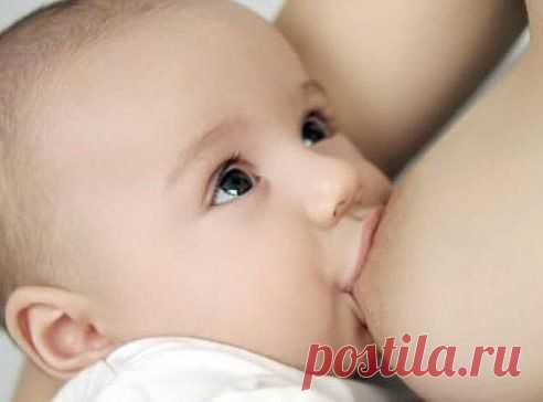 Ради  глаз, которые  смотрят на  тебя  с  такого  ракурса ....НУЖНО  ЖИТЬ !!!!!!!!!