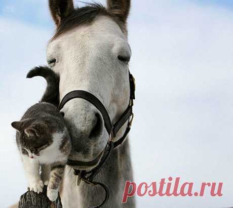 Фотографии loner ! - 655 фото в Моем Мире.