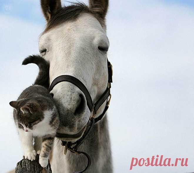Фотографии loner ! - 655 фото в Моем Мире.