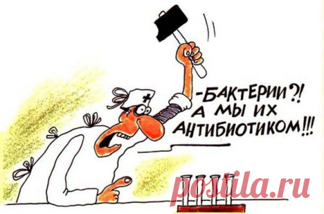 Травы вместо антибиотиков / Популярная медицина
