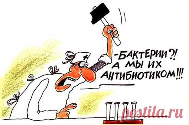 Травы вместо антибиотиков / Популярная медицина