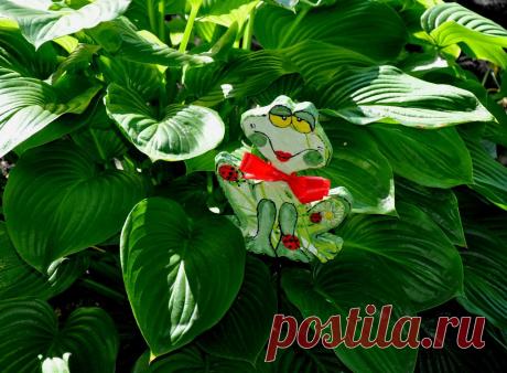 (52) Одноклассники