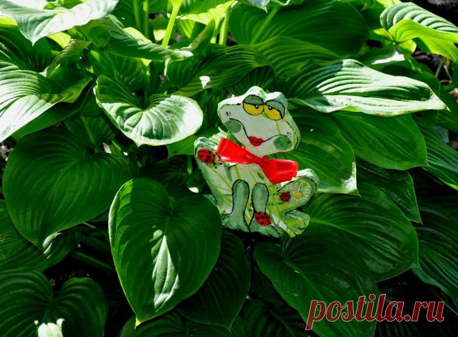 (52) Одноклассники