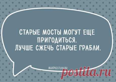 Топ самых смешных фраз Все мы любим остроумие, и наверное каждый из нас коллекционирует смешные фразы и выражения - ведь это лучший способ поднять свой настрой или подбодрить человека, который немного загрустил. 
Конечно, к...