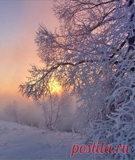 (51) Одноклассники