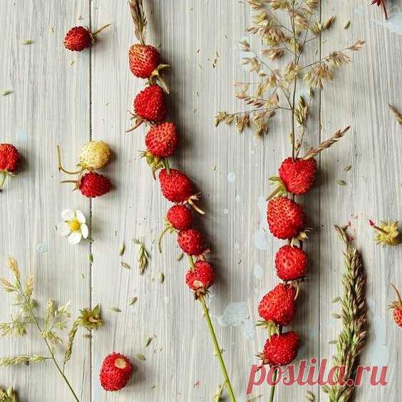 #вдохновение #ягоды #красивое #детали #декор #inspiration #handmade #stilllife #homedecor #interior