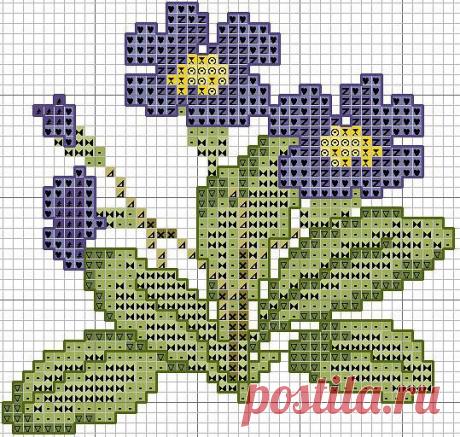 Клуб ЛОПАПЕЙСА