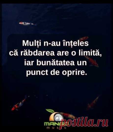 (20+) Dabija Maria | Facebook