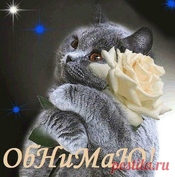 ✔ Открытки на стену - Самые красивые!