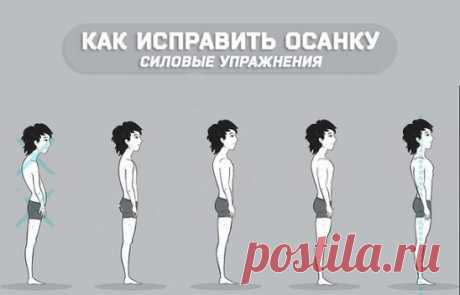 Как исправить осанку (силовые упражнения) 
Необходимо отметить, что данный список не полон, поскольку мы не включили в него малоэффективные и дублирующие упражнения, чтобы исключить ошибку в выборе. 
Запрокидывание и смещение головы вперед 
1. Передние мышцы шеи - исправление наклона головы 
Проще всего проработать передние мышцы шеи на горизонтальной скамье с блином. 
Возьмите блин с подходящей массой, так чтобы вы смогли сделать необходимое количество повторений 
Лягте на горизонтальную ска