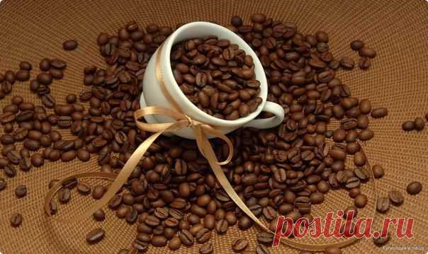 Кофейные зёрна / Здоровый аппетит